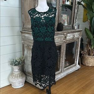 HUTCH LACE OVERLAY SILK COLOR BLOCK GREEN BLACK 10 NEW